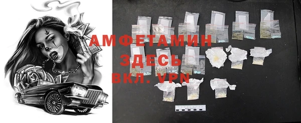 сатива Заводоуковск