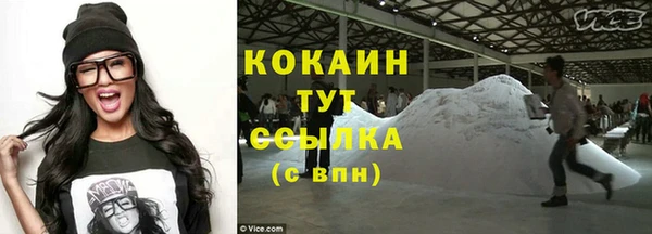 сатива Заводоуковск