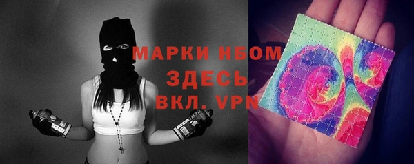 дурь Ельня