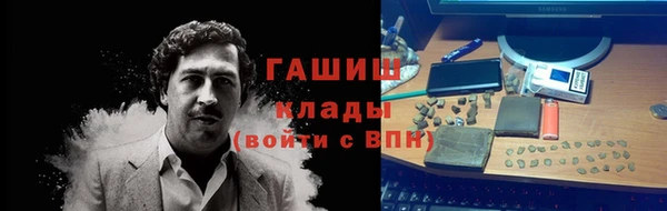 дурь Ельня