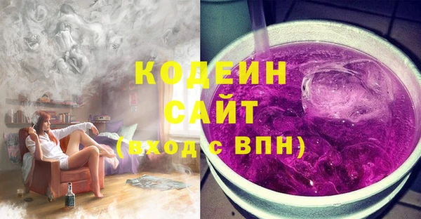 хмурый Елизово
