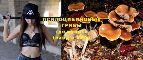 первитин Елабуга