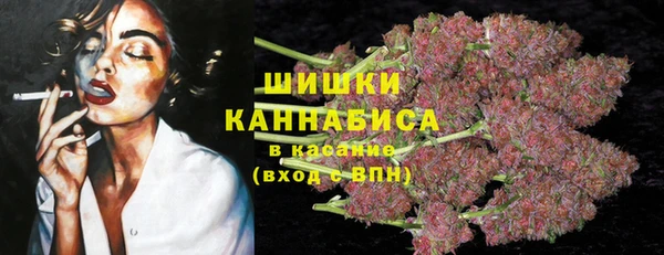 дурь Ельня