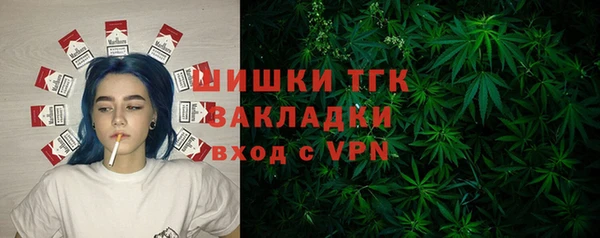 сатива Заводоуковск