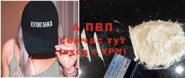 сатива Заводоуковск