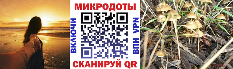 Псилоцибиновые грибы мухоморы  продажа наркотиков  Зеленокумск 